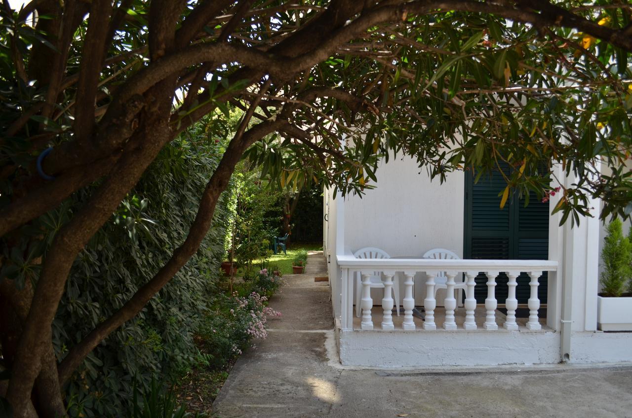 Amarillo Apartments Budva Exterior photo