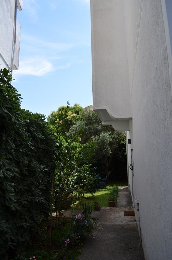 Amarillo Apartments Budva Exterior photo